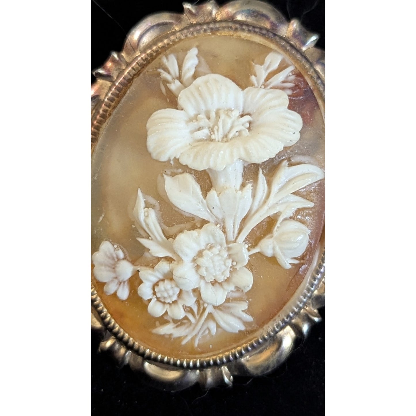 Vtg Gold Tone Faux Shell Cameo Flower Floral White Iridescent Scarf Clip