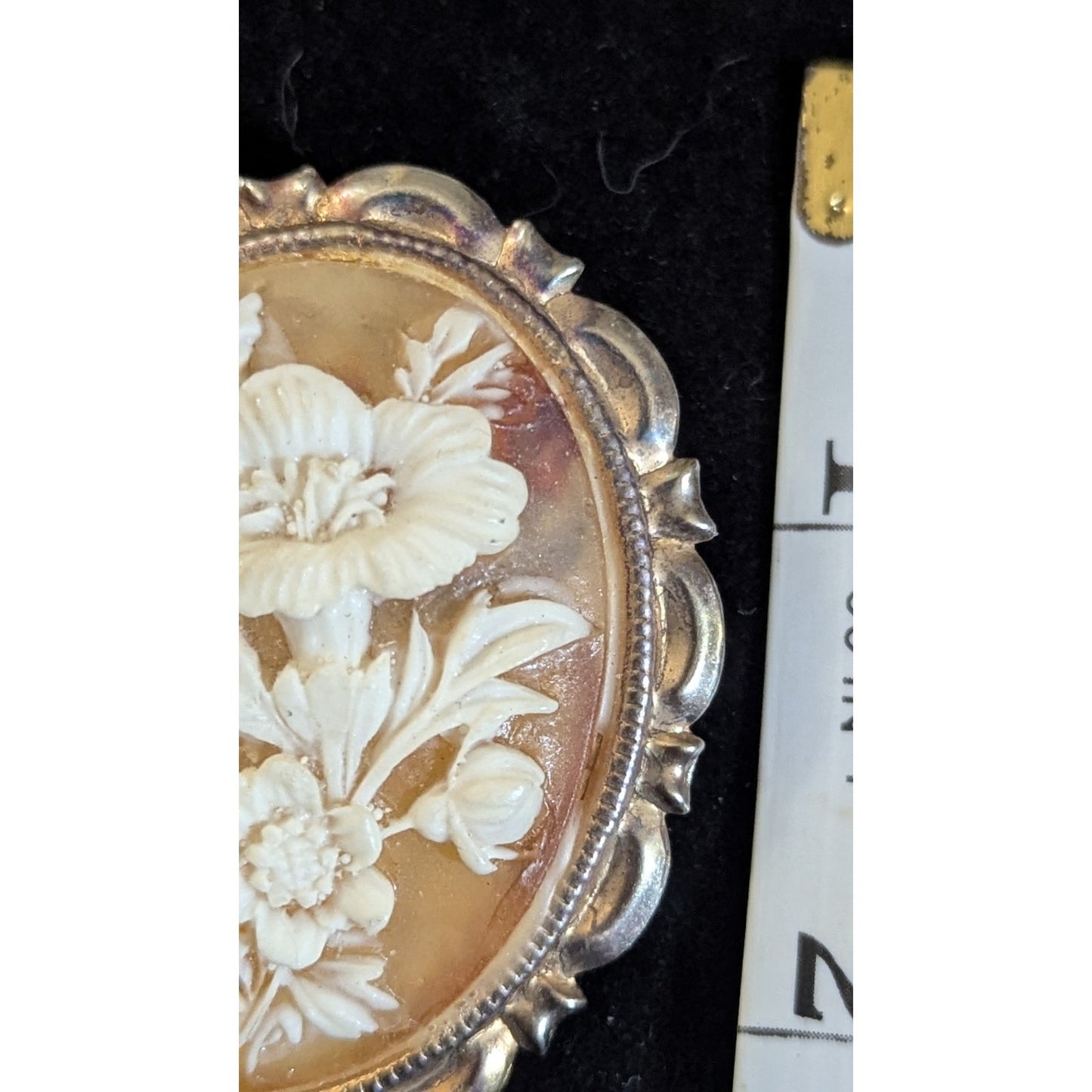 Vtg Gold Tone Faux Shell Cameo Flower Floral White Iridescent Scarf Clip